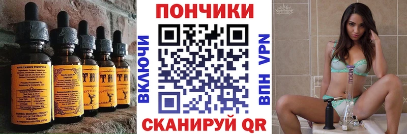 Купить закладки  Исилькуль  Canna-Cookies конопля 