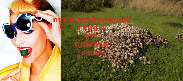 бошки Карпинск