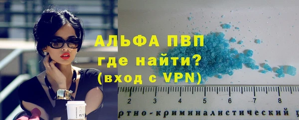 мет Касимов