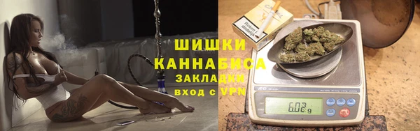 мет Касимов