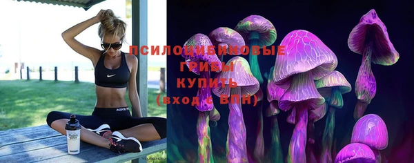бошки Карпинск