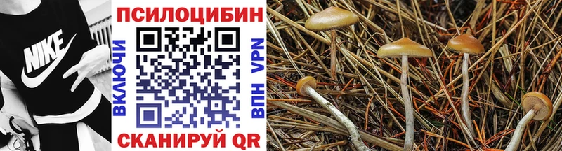 Галлюциногенные грибы ЛСД  Купить где  Исилькуль 